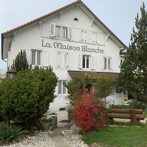 Hotel Maison Blanche Ивердон-ле-Бен Exterior photo