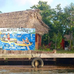Palmento Grove Garifuna Eco-Cultural & Healing Institute Хопкинс Exterior photo