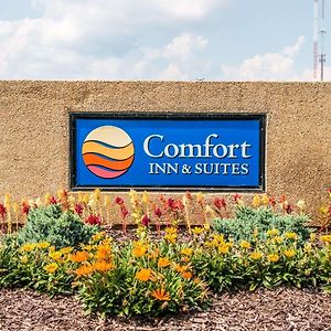 Comfort Inn & Suites And Conference Center Маунт-Плезант Exterior photo