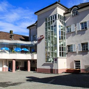 Отель Schweizerhof Mels Exterior photo