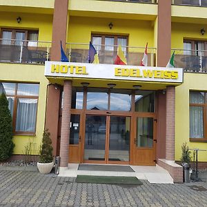 Hotel Edelweiss Медиаш Exterior photo