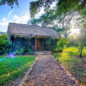 Bocawina Rainforest Resort Хопкинс Exterior photo