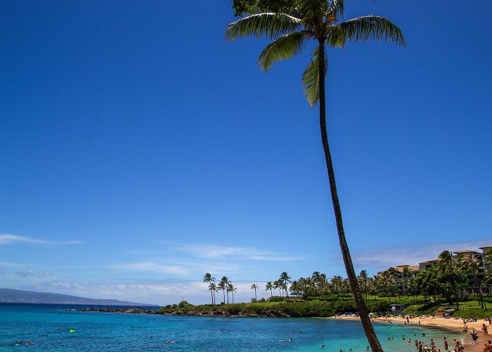 Kapalua Bay Beach photo