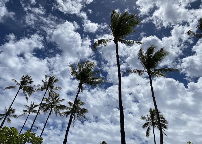 Kapalua Bay Beach photo