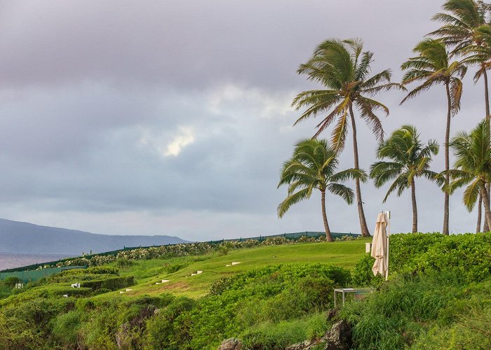 Kapalua Bay Beach photo