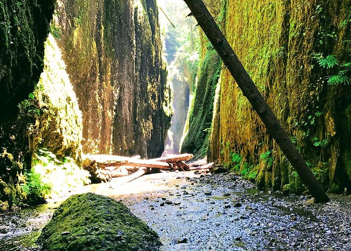 Oneonta Gorge photo
