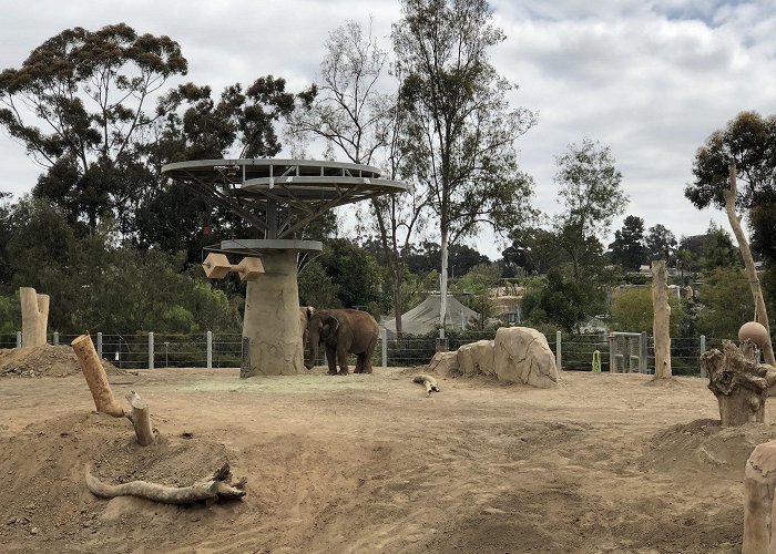 San Diego Zoo photo