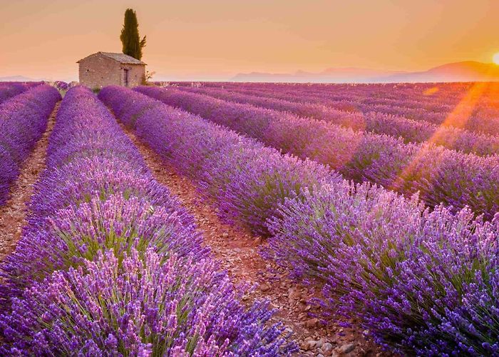 Gerry Weber Stadion St-Louis → Obernai by Train | TGV Tickets & Times | Trainline photo