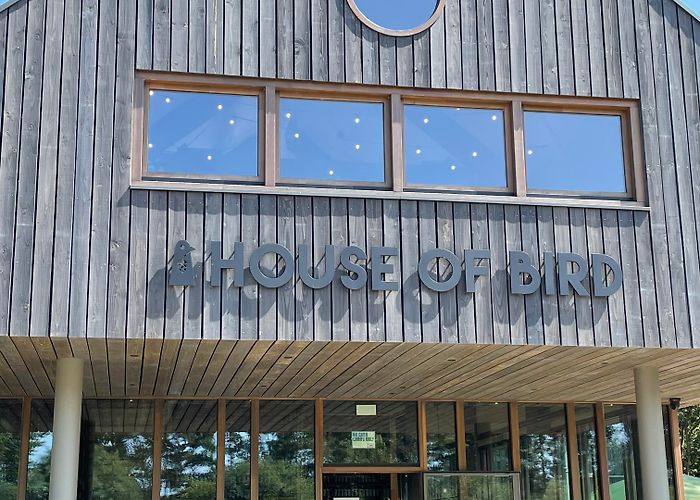 Diemerbos A Visit to… House of Bird – Hop Culture Reference photo