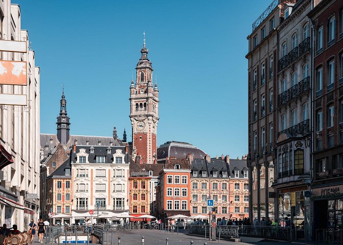 Geology and Natural History Museum The Complete Guide to Lille, France [30+ Recommendations ... photo
