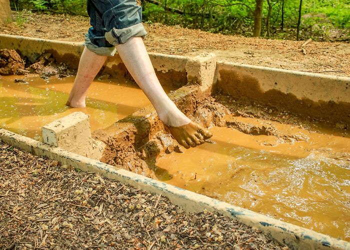 Barfußpark Egestorf: Barfußpark | Lüneburger Heide photo