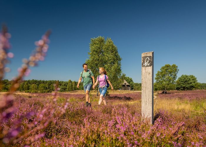Barfußpark Undeloh | Lüneburger Heide photo