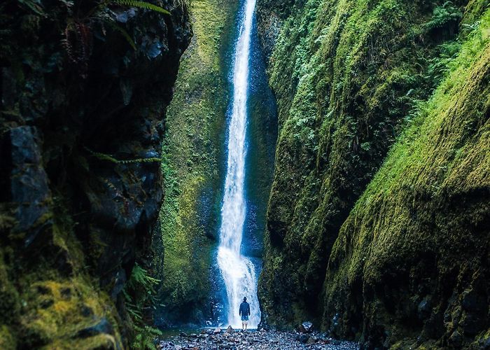Oneonta Gorge Visit Cascade Locks: 2024 Travel Guide for Cascade Locks, Oregon ... photo