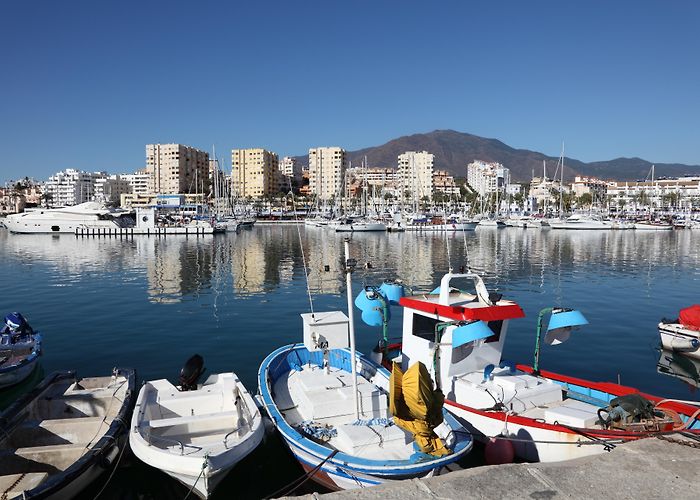 Palaeontology Museum of Estepona Things to Do in Estepona in 2024 | Expedia photo