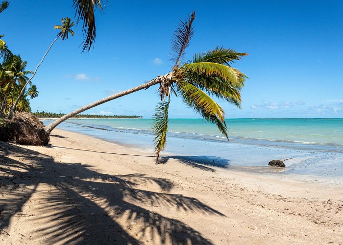 Toque Beach Lages Beach Tours - Book Now | Expedia photo