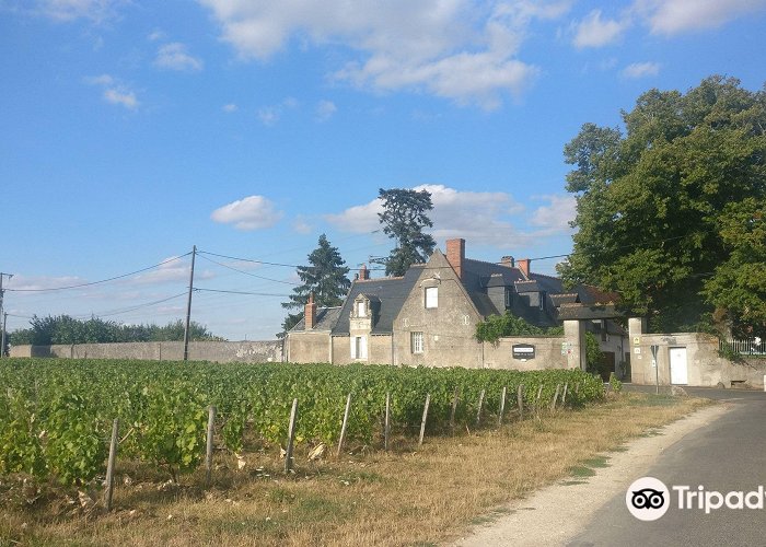 Vineyard and Wine Museum of Moncontour Domaine du Clos de l'Epinay: Photos, Map & Reviews [2024] | Trip.com photo