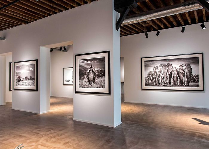 Art Gallery De Kaai OPENING NEW GALLERY - EXHIBITION DAVID YARROW - Leonhard's Gallery photo