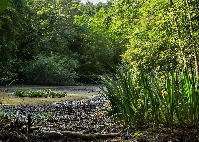 Berlin ExpoCenter Airport Blankensee Hotels - Book accommodation on Hotels.com photo