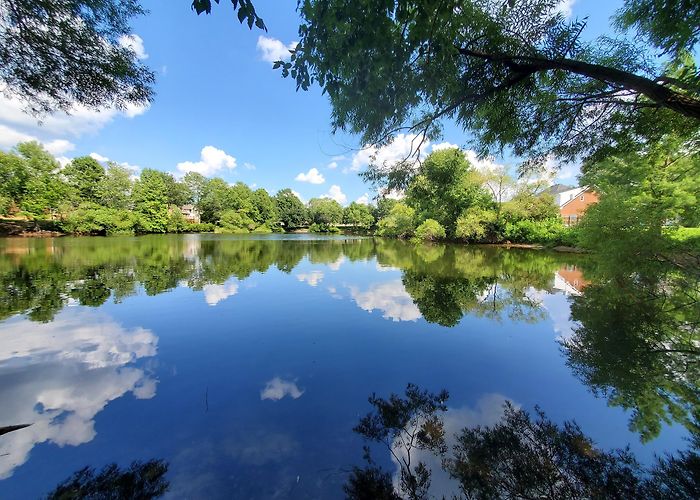 Chesapeake photo