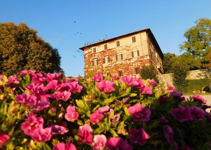 Castellina in Chianti photo