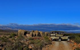 Sanbona Wildlife Reserve Барридейл Exterior photo