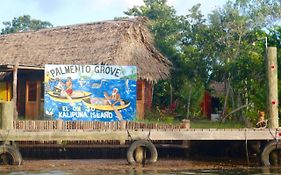 Bed and Breakfast Palmento Grove Garifuna Eco-Cultural & Healing Institute Хопкинс Exterior photo