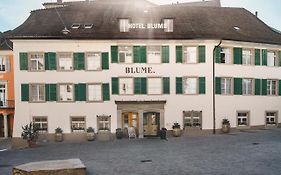 Hotel Blume - Swiss Historic Hotel Баден Exterior photo