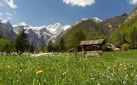 Lepa Lopa Resort Стаховица Exterior photo