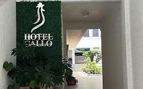 Hotel Gallo Гвадалахара Exterior photo