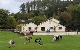 Muckross Riding Stables Килларни Exterior photo
