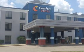 Comfort Suites Airport South Монтгомери Exterior photo