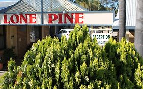 Lone Pine Motel Корова Exterior photo