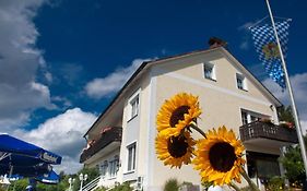 Отель Landgasthof Am Sonnenhang Фоэнштраус Exterior photo