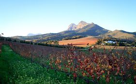 Bed and Breakfast Marianne Wine Estate Стелленбос Exterior photo