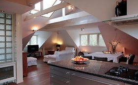 Bed and Breakfast Loft 55, Penthouse Aan De Schoorlse Duinen Room photo