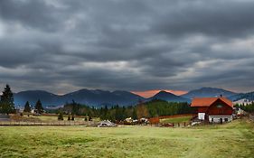 Вилла Pensiunea Zana Muntilor Пьятра-Фантанеле Exterior photo