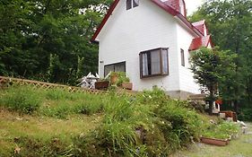 Pension & Cottage Shokubutsushi Хакуба-Мура Exterior photo