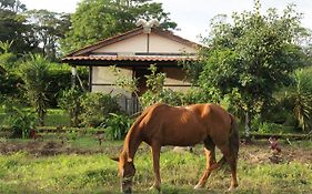 Вилла Finca Lindos Ojos Эстели Exterior photo