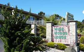 Muir Woods Lodge Милл-Вэлли Exterior photo