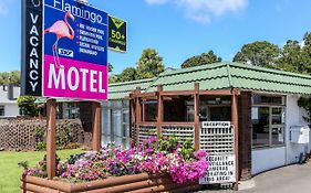 Flamingo Motel Нью-Плимут Exterior photo