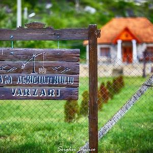 Отель Casa Agricultorului Varzari Butuceny Exterior photo