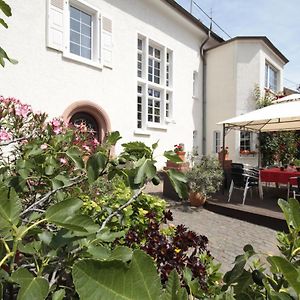 Отель Bio-Weingut, Gaestehaus Und Kraeuterhof Flomborn Exterior photo