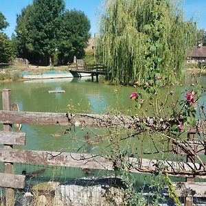 Bed and Breakfast Ferme Bressane Les Arums Mervans Exterior photo