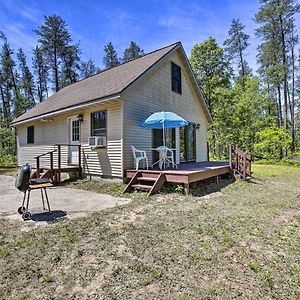 Вилла Secluded Irons Cabin With 5-Acre Yard, Deck, Grill! Exterior photo