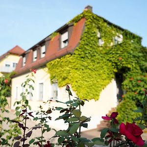 Отель Weingut Martin Blass Erlabrunn  Exterior photo