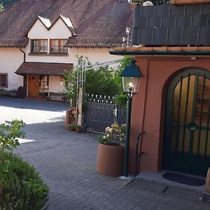 Отель Pension - Gaestehaus Zum Pfaelzerwald Hinterweidenthal Exterior photo