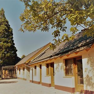 Bed and Breakfast Mamutfenyo Panzio Тата Exterior photo