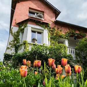 Bed and Breakfast L'Abri Du Viaduc Сент-Сатюр Exterior photo