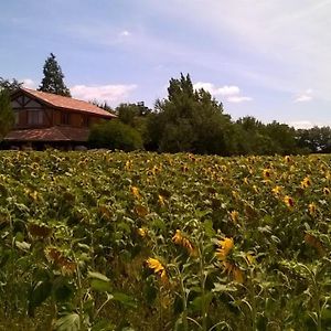 Bed and Breakfast Berdale Lagraulet-du-Gers Exterior photo