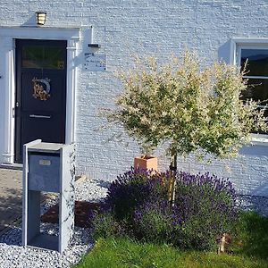 Bed and Breakfast Au Fond Des Rys Grez-Doiceau Exterior photo